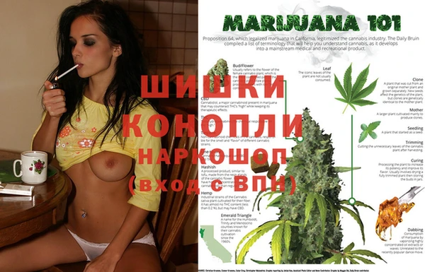 прущие крисы Осташков