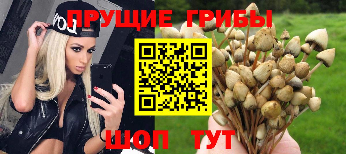 Галлюциногенные грибы Cubensis Менделеевск