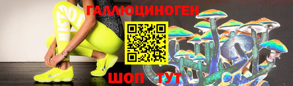 Псилоцибиновые грибы Psilocybe  Менделеевск  наркошоп  Галлюциногенные грибы Cubensis 